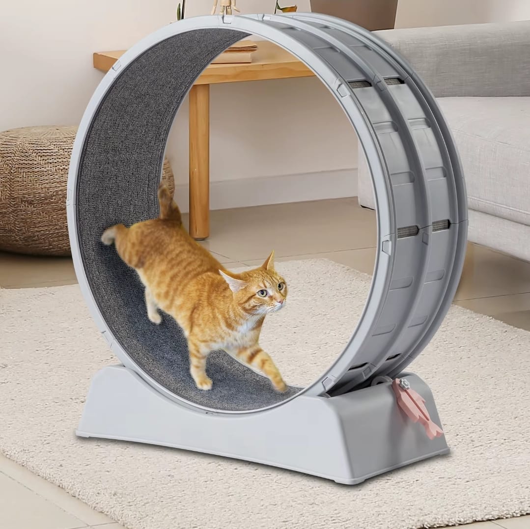 Carpeted Cat Treadmill Wheel (31") - Fun Indoor Fitness for Weight-Controlled Cats