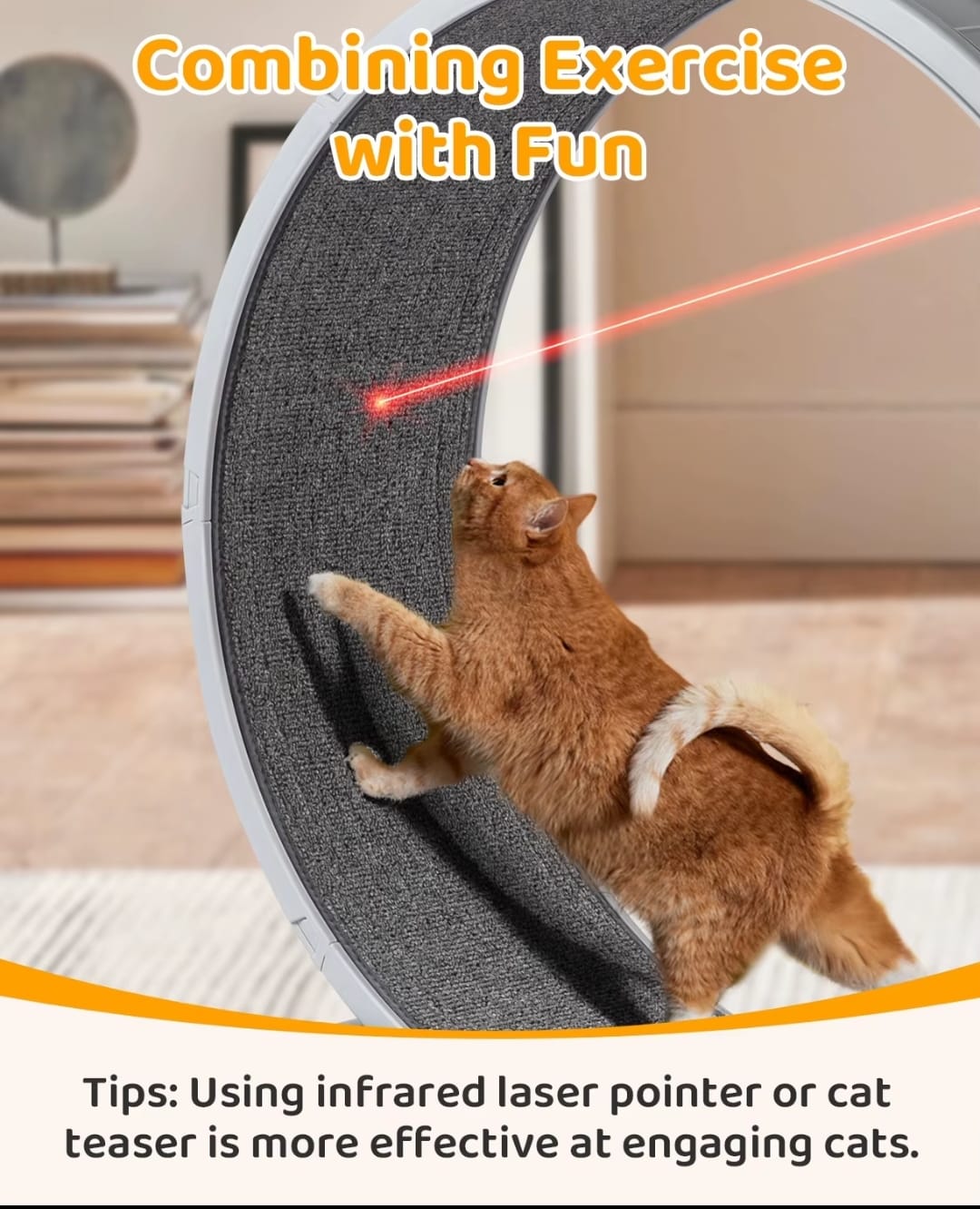 Carpeted Cat Treadmill Wheel (31") - Fun Indoor Fitness for Weight-Controlled Cats