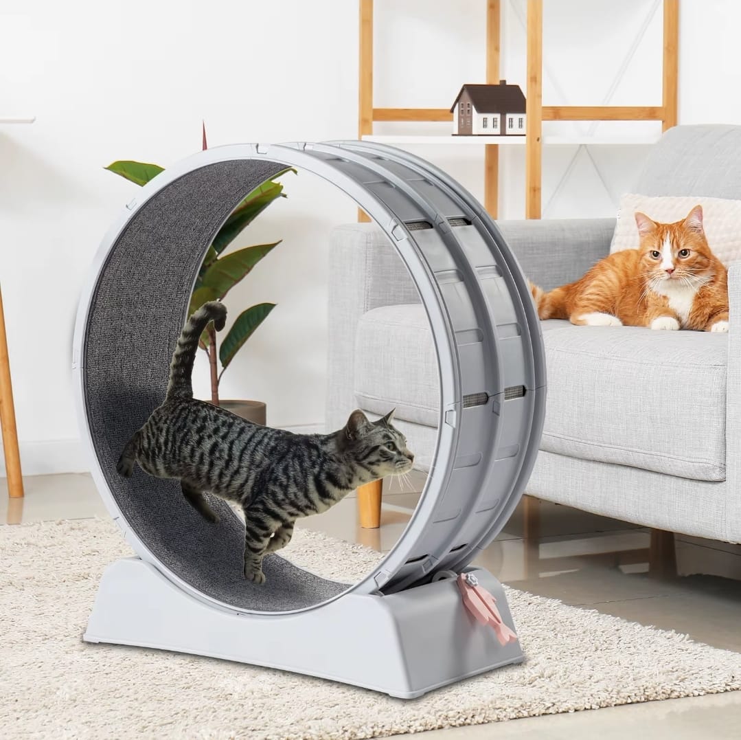 Carpeted Cat Treadmill Wheel (31") - Fun Indoor Fitness for Weight-Controlled Cats