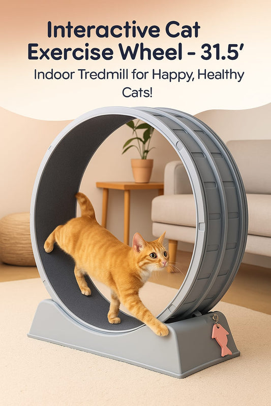 Carpeted Cat Treadmill Wheel (31") - Fun Indoor Fitness for Weight-Controlled Cats